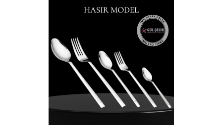 HASIR MODEL